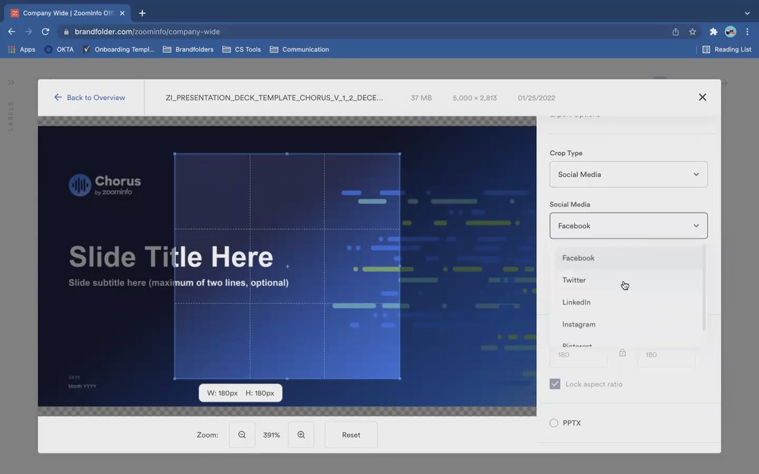 Sales / CX / Seismic ZoomInfo Official Digital Assets Brandfolder