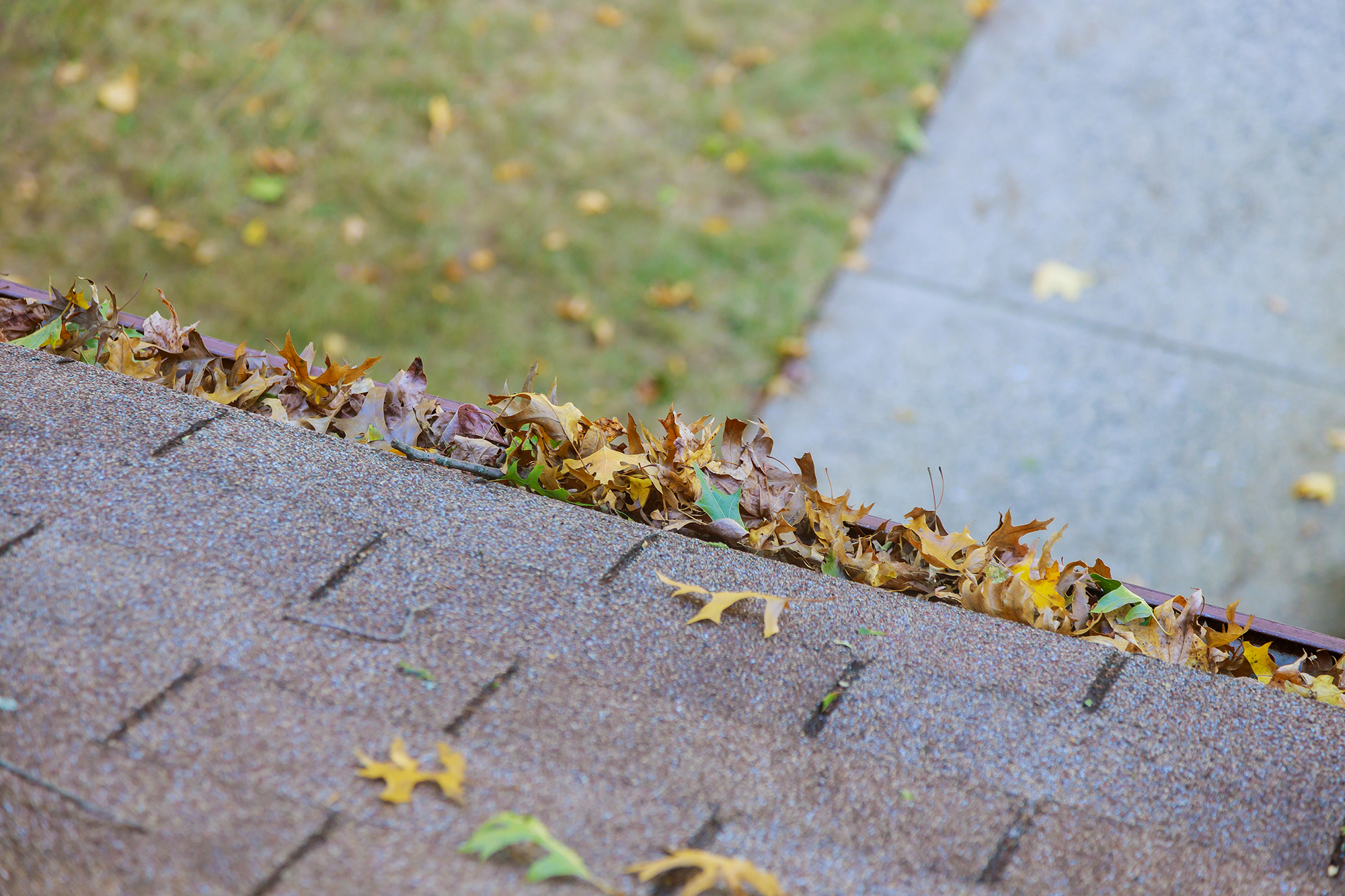 Leaves clogged in a gutter and overflowing out of the top of the gutter.