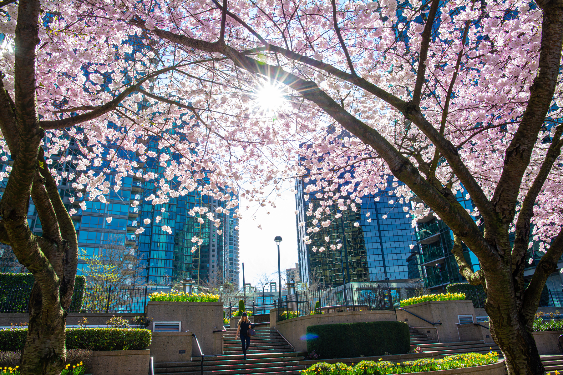 The Best Times to Visit Vancouver