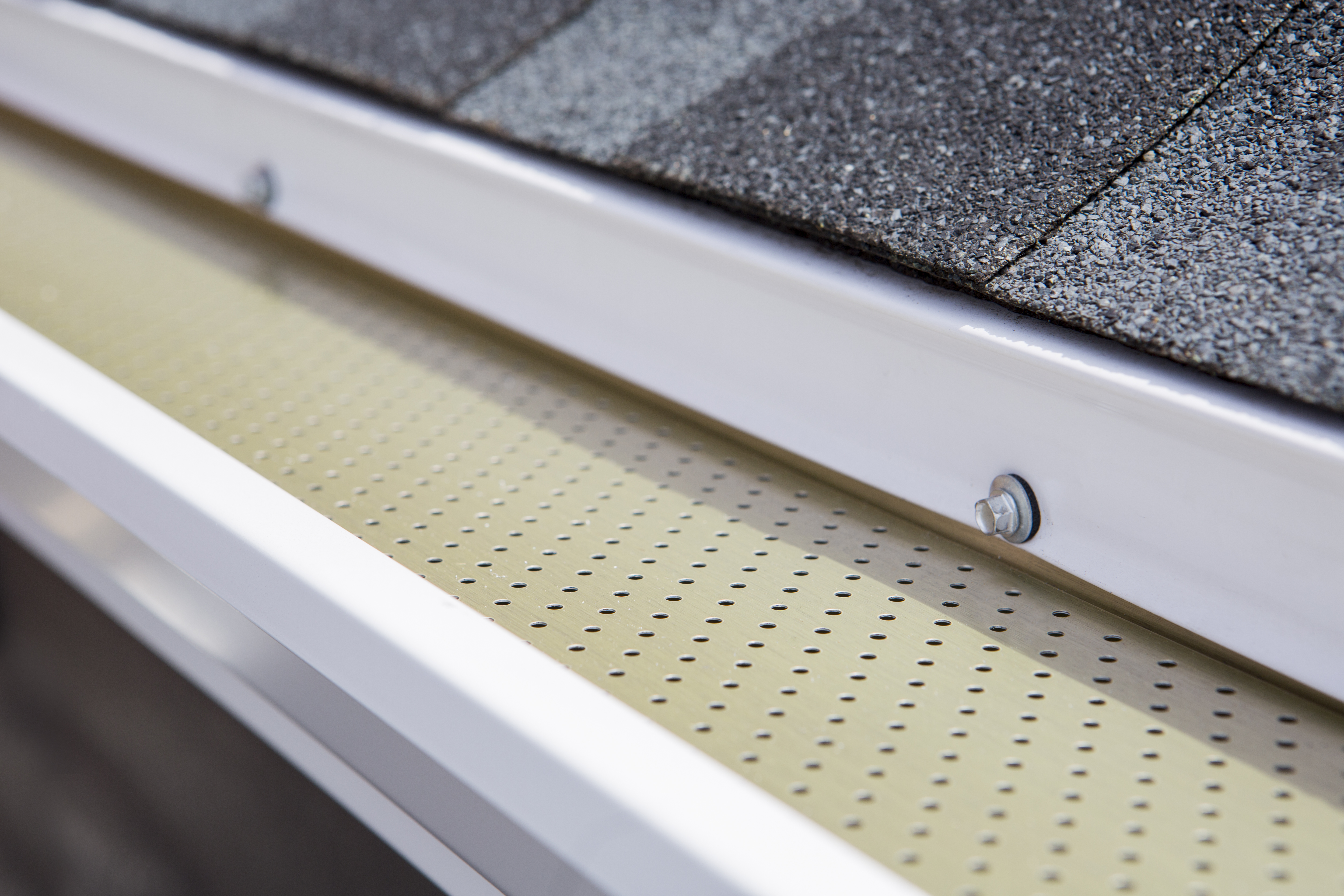 Gutter guard installed in a gutter to keep out animals, leaves, and other debris that may cause clogs.