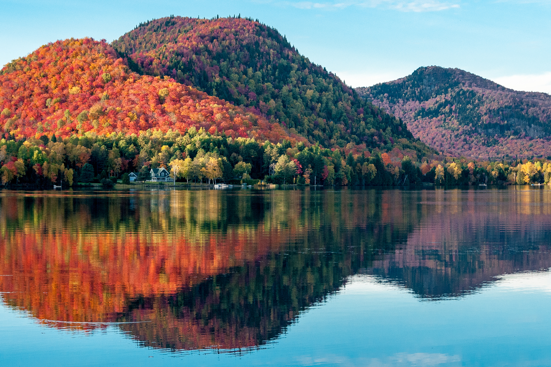 Canadian Fall Color Train Tours: Experience Autumn Magic